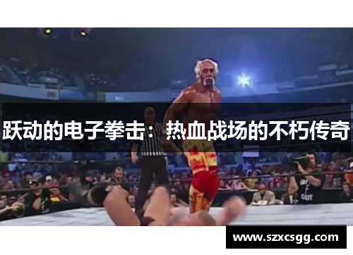 跃动的电子拳击：热血战场的不朽传奇