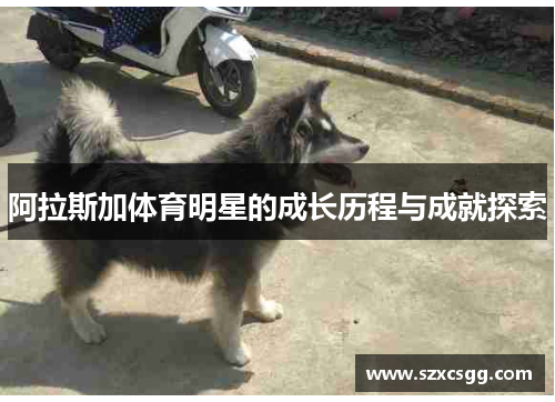 阿拉斯加体育明星的成长历程与成就探索