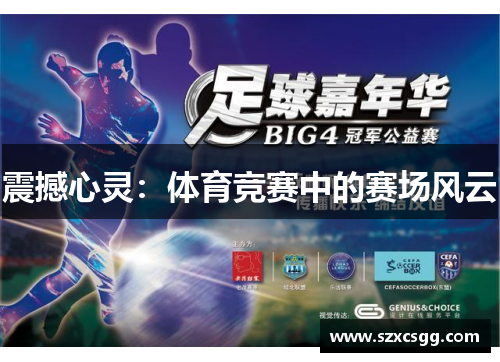 震撼心灵：体育竞赛中的赛场风云